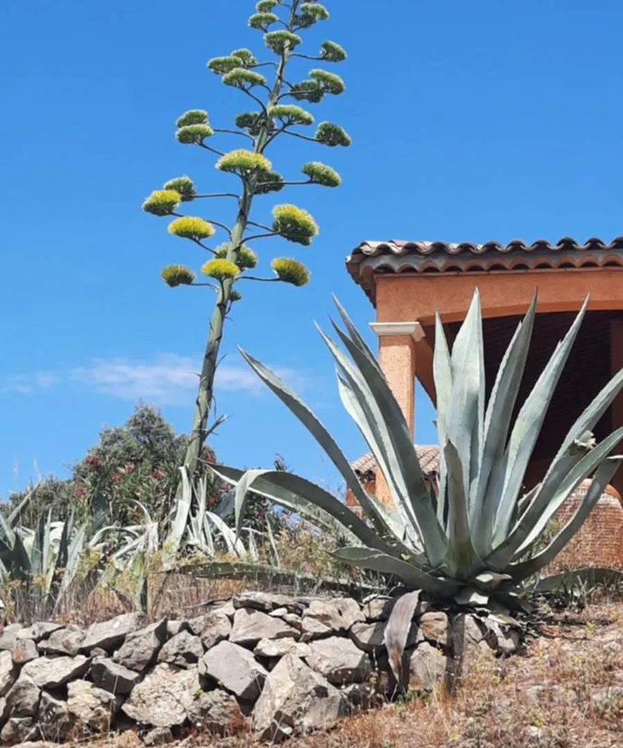 Villa Domaine de L'échappée Belle à Entrecasteaux Hébergement de vacances